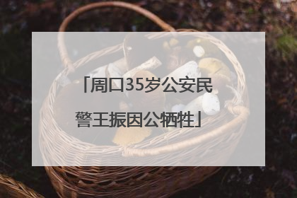 周口35岁公安民警王振因公牺牲