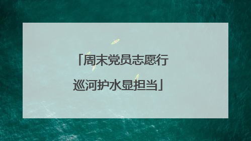 周末党员志愿行 巡河护水显担当