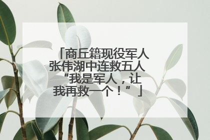 商丘籍现役军人张伟湖中连救五人 “我是军人，让我再救一个！”