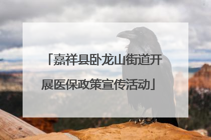 嘉祥县卧龙山街道开展医保政策宣传活动