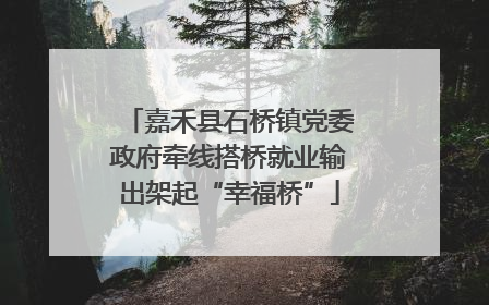 嘉禾县石桥镇党委政府牵线搭桥就业输出架起“幸福桥”