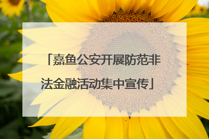 嘉鱼公安开展防范非法金融活动集中宣传