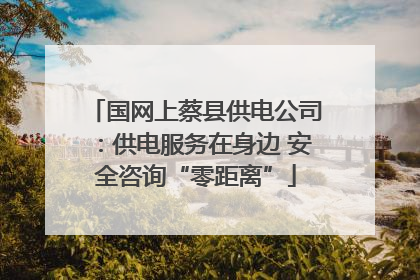 国网上蔡县供电公司：供电服务在身边 安全咨询“零距离”