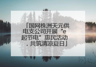 国网株洲天元供电支公司开展“e起节电”惠民活动，共筑清凉夏日