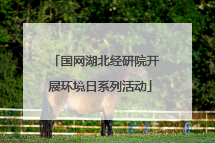国网湖北经研院开展环境日系列活动