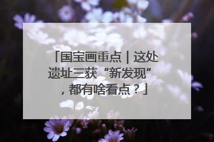 国宝画重点｜这处遗址三获“新发现”，都有啥看点？
