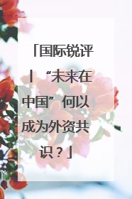 国际锐评丨“未来在中国”何以成为外资共识？