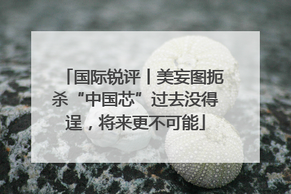国际锐评丨美妄图扼杀“中国芯”过去没得逞，将来更不可能