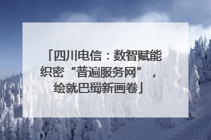 四川电信：数智赋能织密“普遍服务网”，绘就巴蜀新画卷