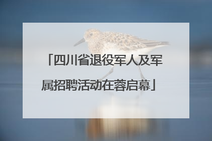 四川省退役军人及军属招聘活动在蓉启幕