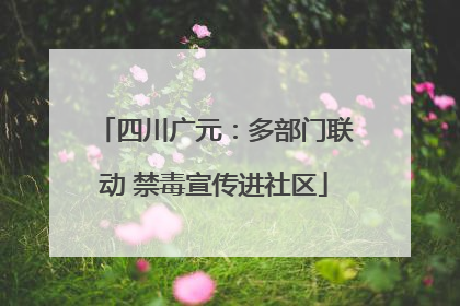 四川广元：多部门联动 禁毒宣传进社区