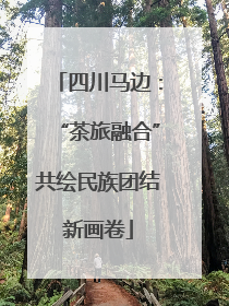 四川马边：“茶旅融合”共绘民族团结新画卷