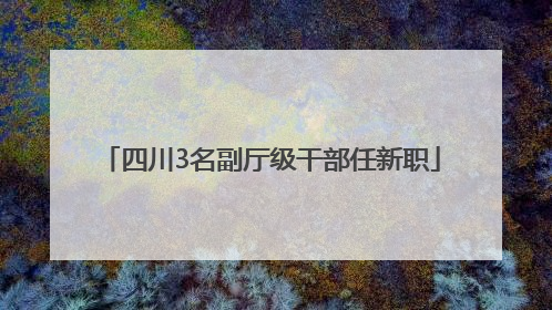 四川3名副厅级干部任新职
