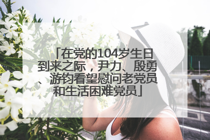 在党的104岁生日到来之际，尹力、殷勇、游钧看望慰问老党员和生活困难党员