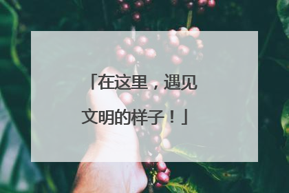 在这里，遇见文明的样子！