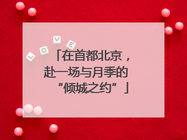 在首都北京，赴一场与月季的“倾城之约”