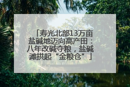 寿光北部13万亩盐碱地迈向高产田：八年改碱夺粮，盐碱滩拱起“金粮仓”