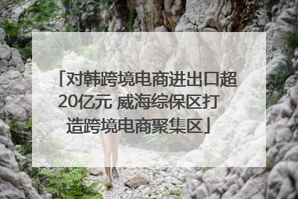 对韩跨境电商进出口超20亿元 威海综保区打造跨境电商聚集区