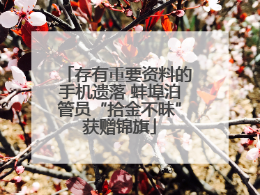 存有重要资料的手机遗落 蚌埠泊管员“拾金不昧”获赠锦旗