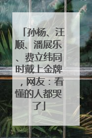 孙杨、汪顺、潘展乐、费立纬同时戴上金牌，网友：看懂的人都哭了