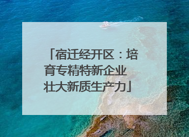 宿迁经开区：培育专精特新企业 壮大新质生产力