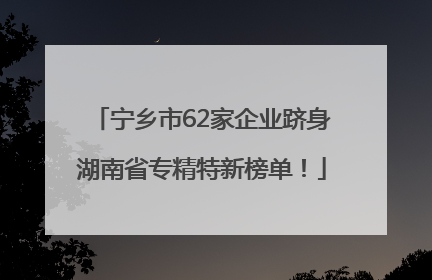 宁乡市62家企业跻身湖南省专精特新榜单！