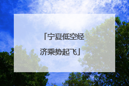 宁夏低空经济乘势起飞