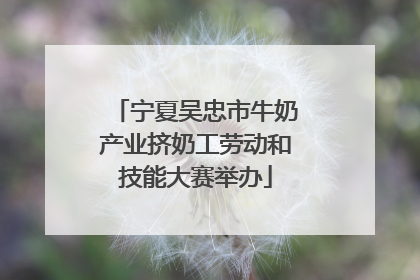 宁夏吴忠市牛奶产业挤奶工劳动和技能大赛举办