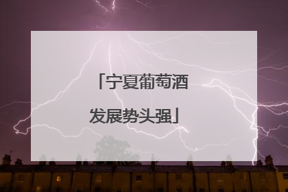 宁夏葡萄酒发展势头强