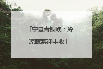 宁夏青铜峡：冷凉蔬菜迎丰收