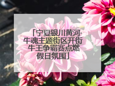 宁夏银川黄河·牛魂主题街区开街 牛王争霸赛点燃假日氛围