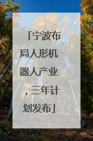 宁波布局人形机器人产业，三年计划发布