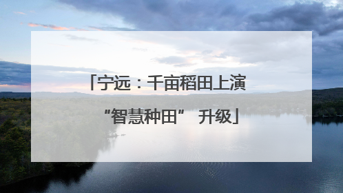 宁远：千亩稻田上演 “智慧种田” 升级