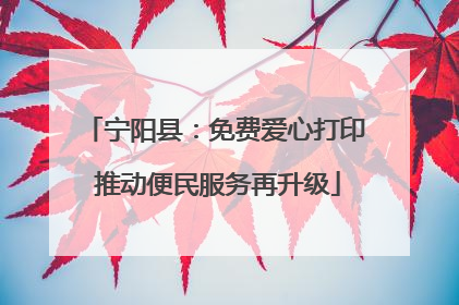 宁阳县：免费爱心打印 推动便民服务再升级