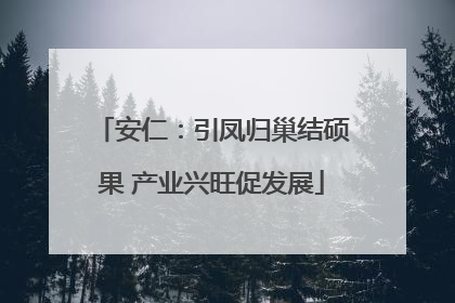 安仁：引凤归巢结硕果 产业兴旺促发展