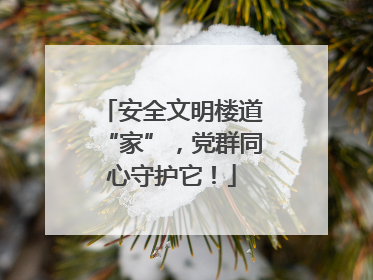 安全文明楼道“家”，党群同心守护它！