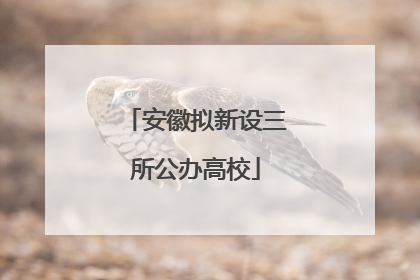 安徽拟新设三所公办高校