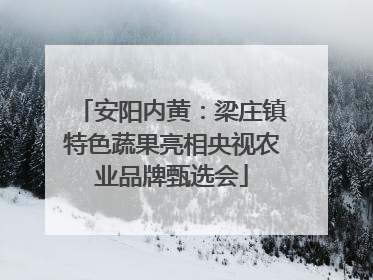 安阳内黄：梁庄镇特色蔬果亮相央视农业品牌甄选会