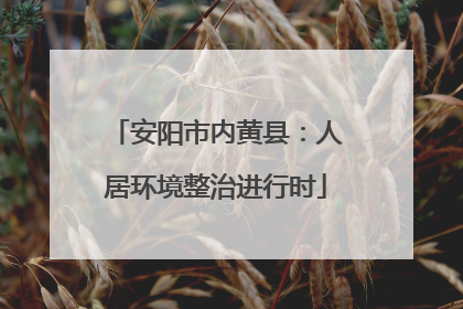 安阳市内黄县：人居环境整治进行时