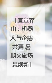 宜章莽山：机器人与企鹅共舞 暑期文旅场景焕新