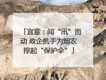 宜章：闻“汛”而动 政企携手为烟农撑起“保护伞”