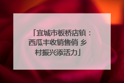 宜城市板桥店镇：西瓜丰收销售俏 乡村振兴添活力