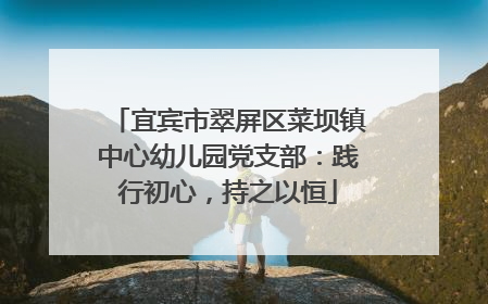 宜宾市翠屏区菜坝镇中心幼儿园党支部：践行初心，持之以恒