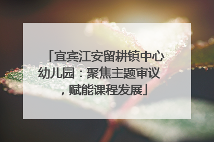 宜宾江安留耕镇中心幼儿园：聚焦主题审议，赋能课程发展