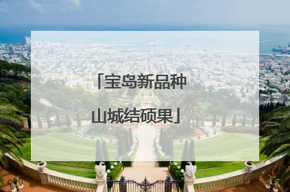 宝岛新品种 山城结硕果