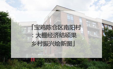 宝鸡陈仓区南阳村：大棚经济结硕果 乡村振兴绘新图