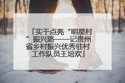 实干点亮“明星村”振兴路——记贵州省乡村振兴优秀驻村工作队员王培欢