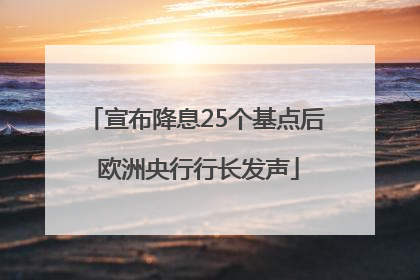 宣布降息25个基点后 欧洲央行行长发声
