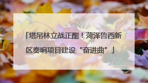 塔吊林立战正酣！菏泽鲁西新区奏响项目建设“奋进曲”