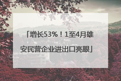 增长53%！1至4月雄安民营企业进出口亮眼